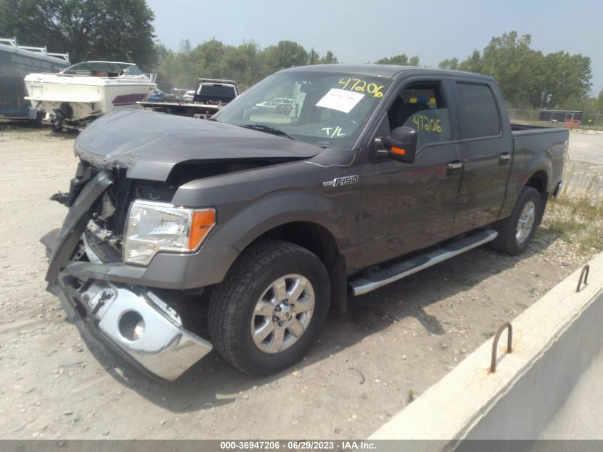 2013 FORD F-150 XL/XLT/FX4/LARIAT - 1FTFW1EFXDKD13921