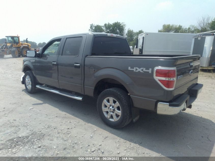 2013 FORD F-150 XL/XLT/FX4/LARIAT - 1FTFW1EFXDKD13921