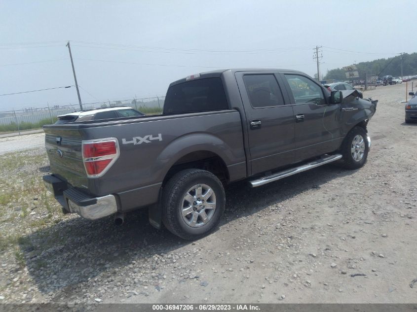 2013 FORD F-150 XL/XLT/FX4/LARIAT - 1FTFW1EFXDKD13921