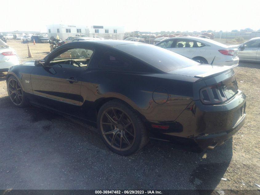 2013 FORD MUSTANG GT - 1ZVBP8CF7D5267175