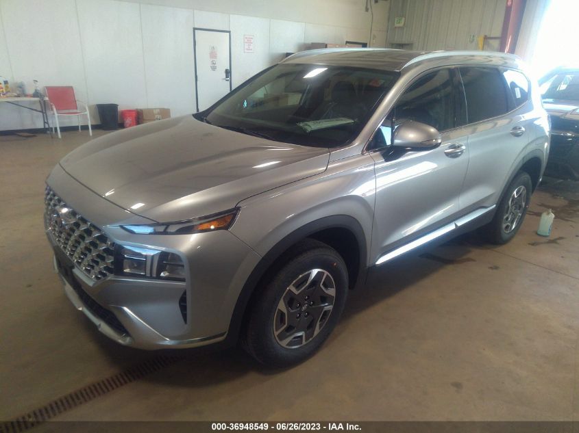 2023 HYUNDAI SANTA FE HYBRID BLUE - 5NMS2DA12PH010931
