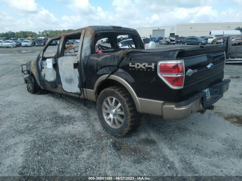 2013 FORD F-150 XL/XLT/FX4/LARIAT - 1FTFW1ET8DKE27146