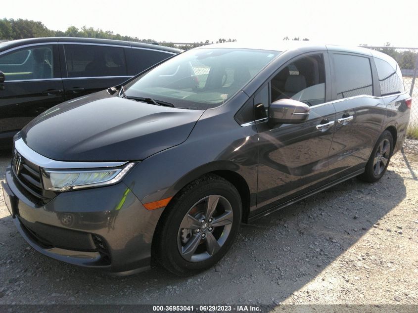 2023 HONDA ODYSSEY EX - 5FNRL6H51PB059328