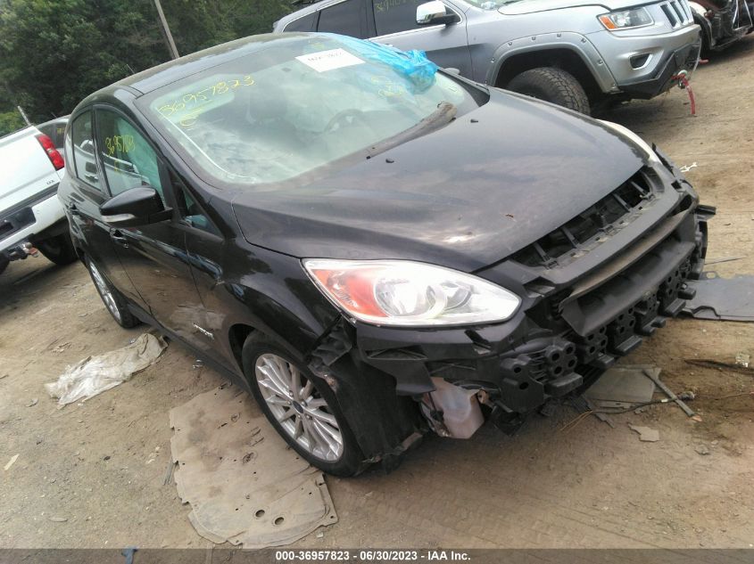 2014 FORD C-MAX HYBRID SE - 1FADP5AU1EL517704