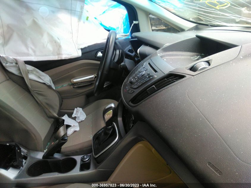 2014 FORD C-MAX HYBRID SE - 1FADP5AU1EL517704
