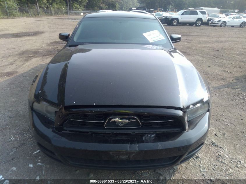 2013 FORD MUSTANG V6 - 1ZVBP8AM9D5220487