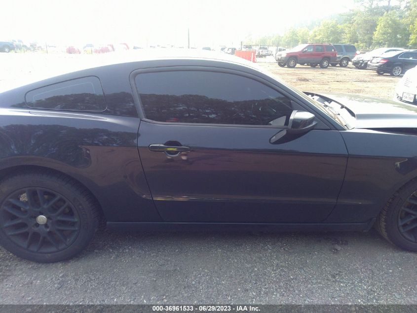 2013 FORD MUSTANG V6 - 1ZVBP8AM9D5220487