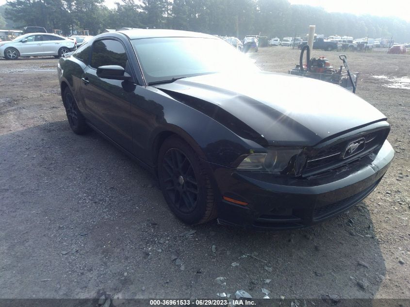 2013 FORD MUSTANG V6 - 1ZVBP8AM9D5220487