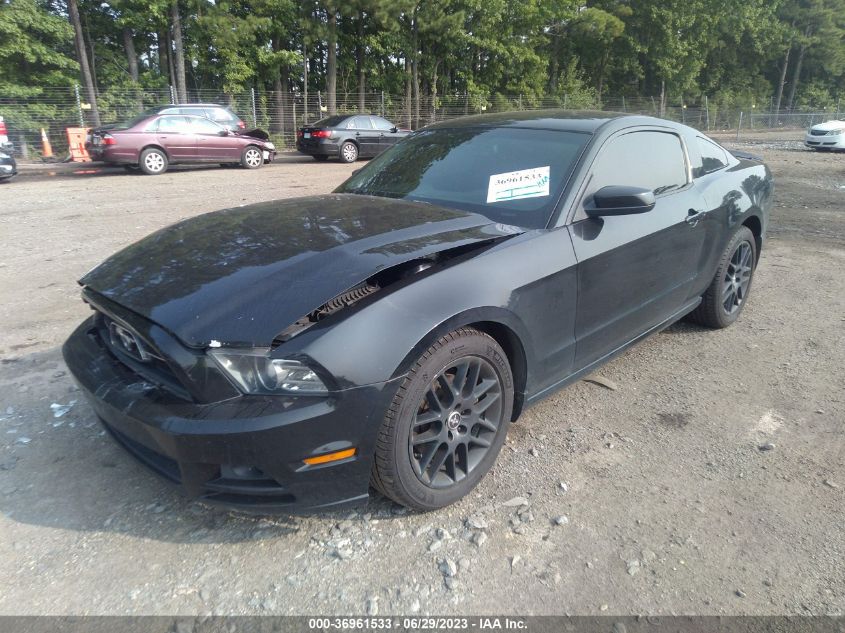 2013 FORD MUSTANG V6 - 1ZVBP8AM9D5220487