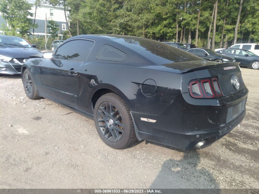 2013 FORD MUSTANG V6 - 1ZVBP8AM9D5220487