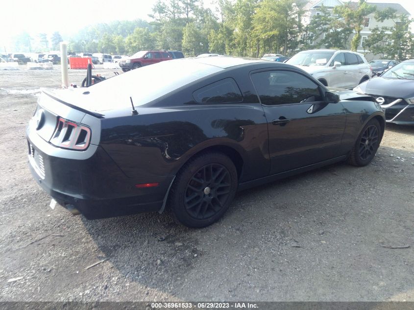 2013 FORD MUSTANG V6 - 1ZVBP8AM9D5220487