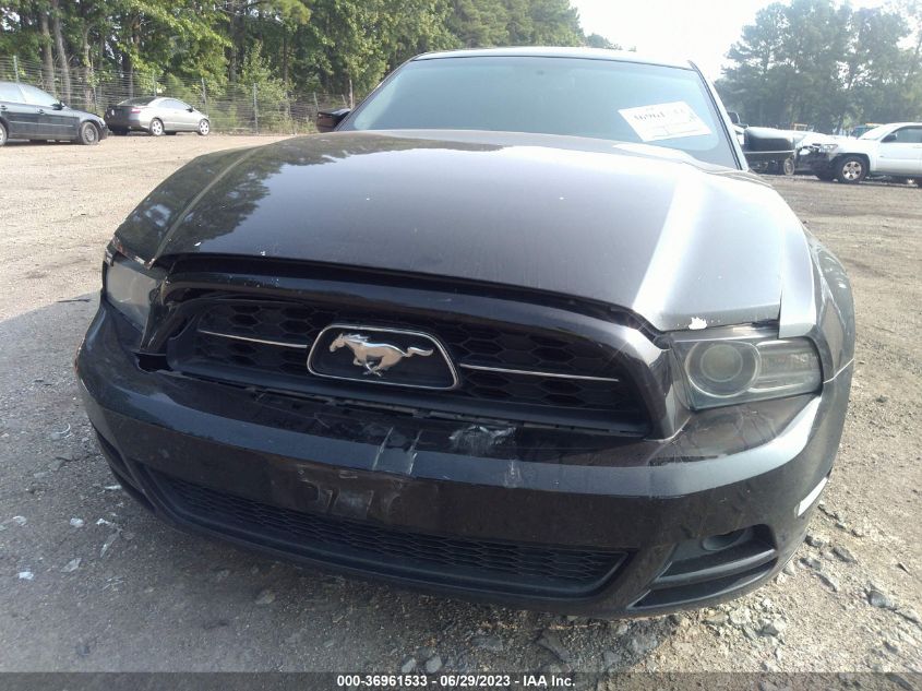 2013 FORD MUSTANG V6 - 1ZVBP8AM9D5220487