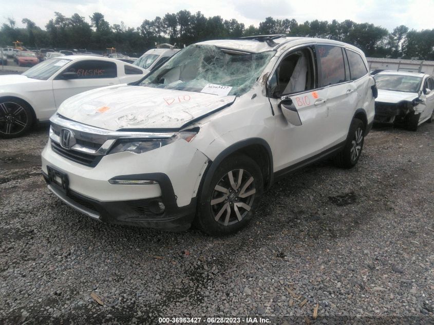 2019 HONDA PILOT EX-L - 5FNYF6H5XKB067083