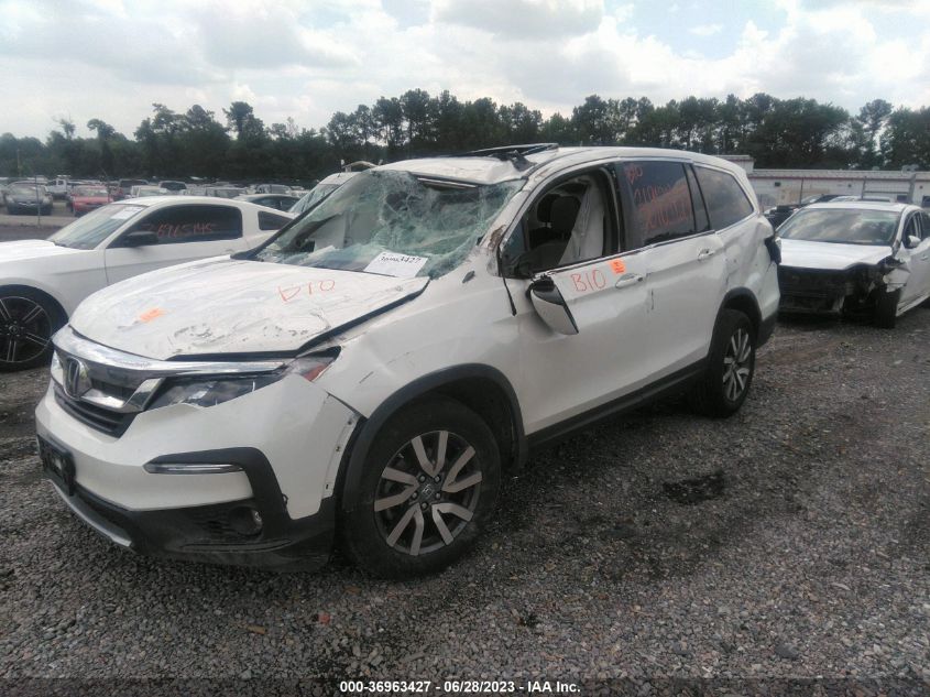 2019 HONDA PILOT EX-L - 5FNYF6H5XKB067083