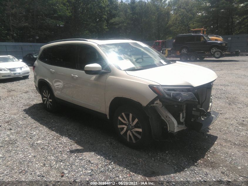 2019 HONDA PILOT EX-L - 5FNYF6H56KB071924