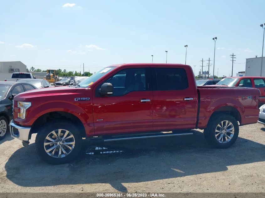2015 FORD F-150 XLT/XL/LARIAT/PLATINUM - 1FTEW1EG8FKD96076