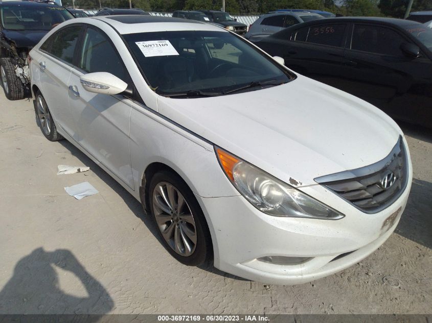 2013 HYUNDAI SONATA LIMITED - 5NPEC4AB9DH511767