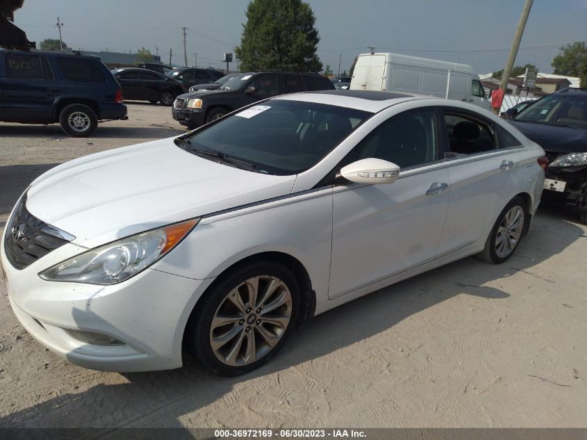 2013 HYUNDAI SONATA LIMITED - 5NPEC4AB9DH511767