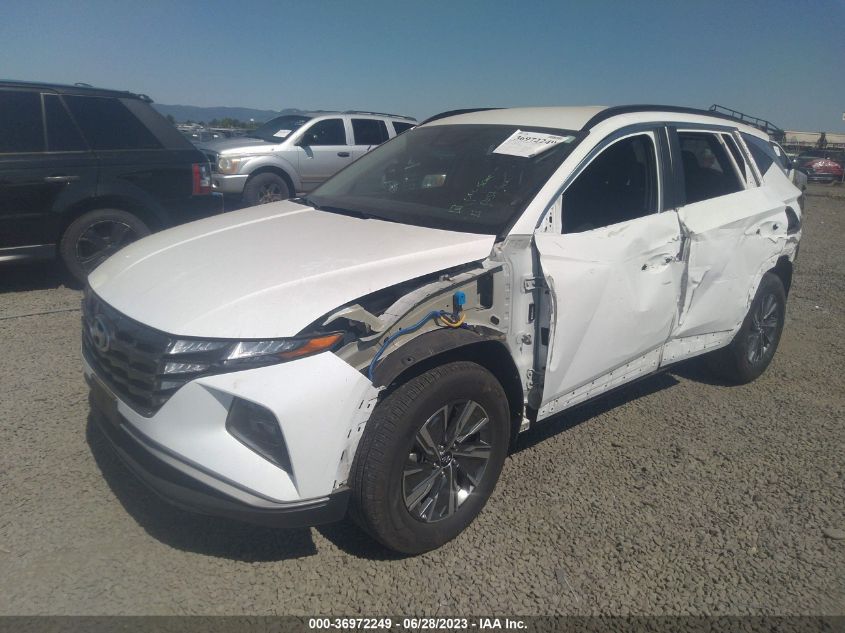 2022 HYUNDAI TUCSON HYBRID BLUE KM8JBCA19NU019729