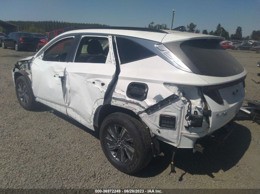 2022 HYUNDAI TUCSON HYBRID BLUE KM8JBCA19NU019729