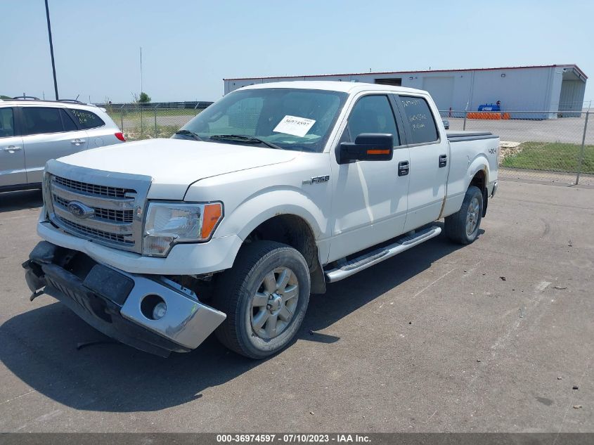 2014 FORD F150 SUPERCREW - 1FTWF1EF2EKD26213