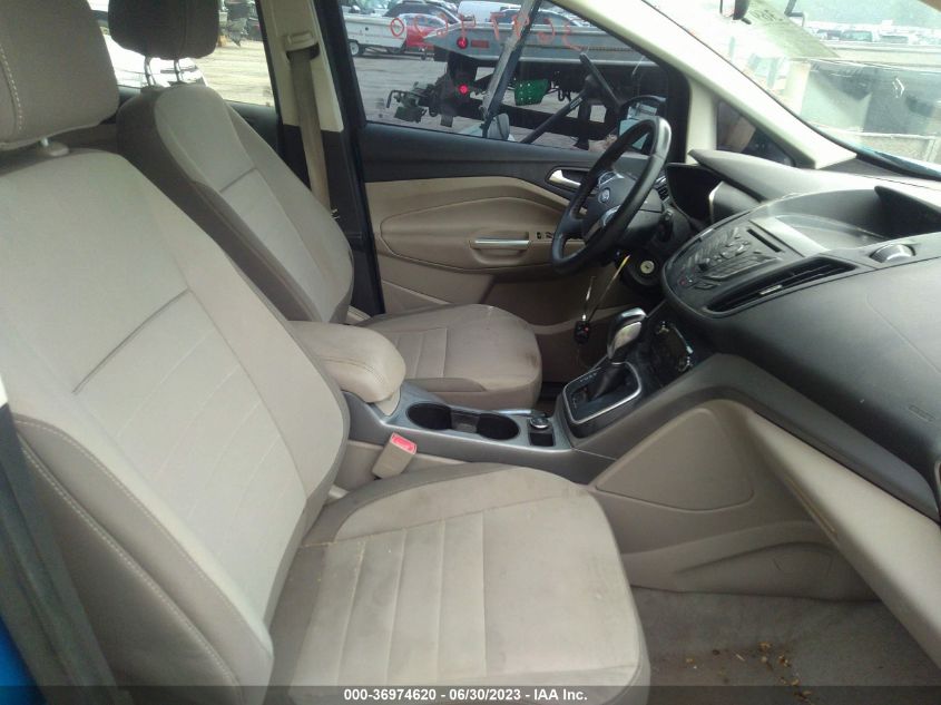 2013 FORD C-MAX HYBRID SE - 1FADP5AU2DL530315