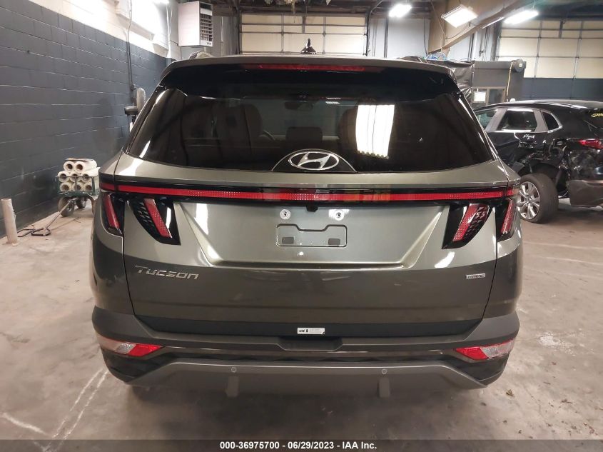 2023 HYUNDAI TUCSON LIMITED - 5NMJECAE2PH264381