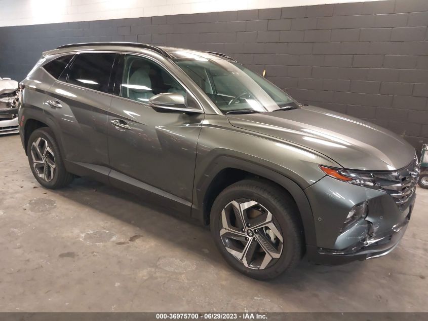 2023 HYUNDAI TUCSON LIMITED - 5NMJECAE2PH264381