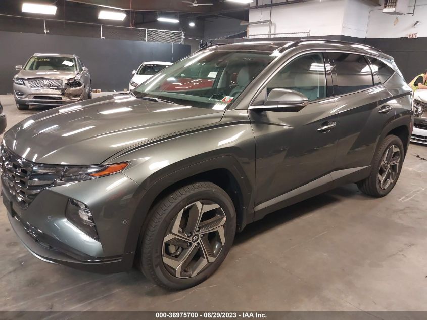 2023 HYUNDAI TUCSON LIMITED - 5NMJECAE2PH264381