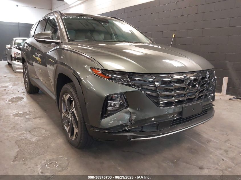 2023 HYUNDAI TUCSON LIMITED - 5NMJECAE2PH264381
