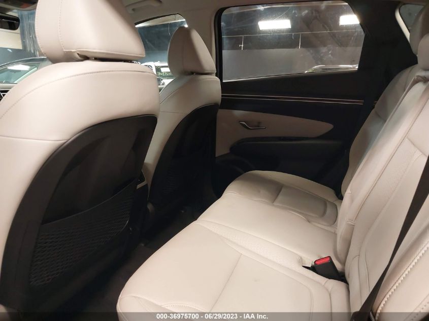 2023 HYUNDAI TUCSON LIMITED - 5NMJECAE2PH264381