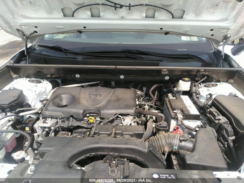 2019 TOYOTA RAV4 XLE - JTMW1RFV6KD016679