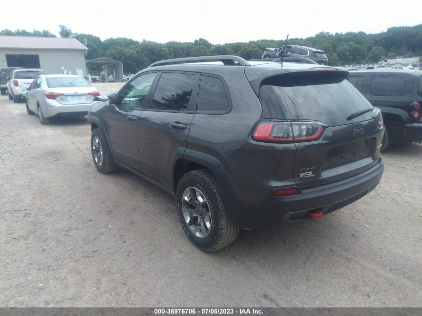 2019 JEEP CHEROKEE TRAILHAWK - 1C4PJMBX7KD393861
