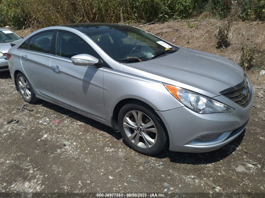 2013 HYUNDAI SONATA LIMITED - 5NPEC4AC6DH604089