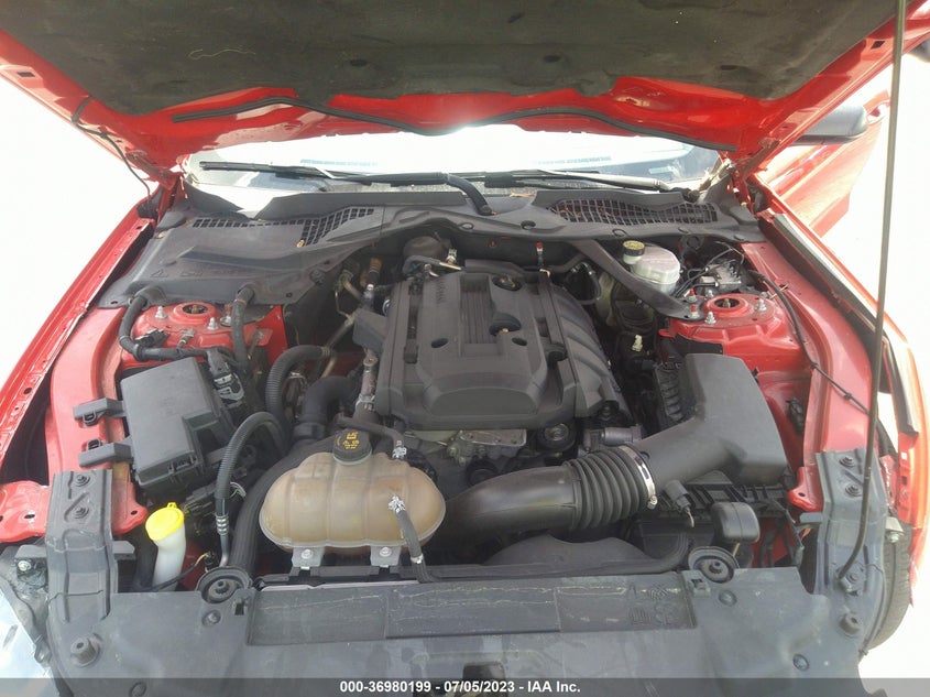 VIN 1FATP8UH2K5162277 2019 FORD MUSTANG ECOBOOST