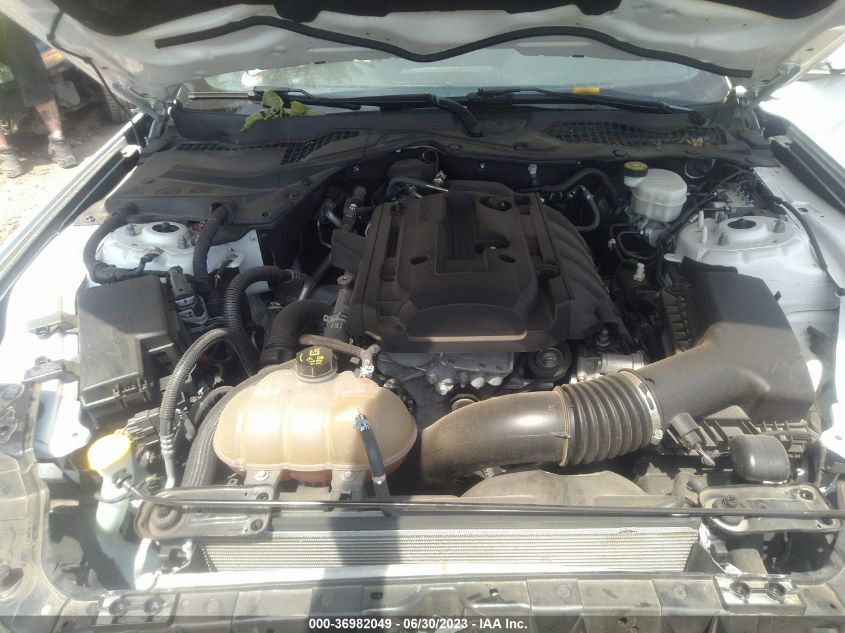 2019 FORD MUSTANG - 1FA6P8TH3K5201280