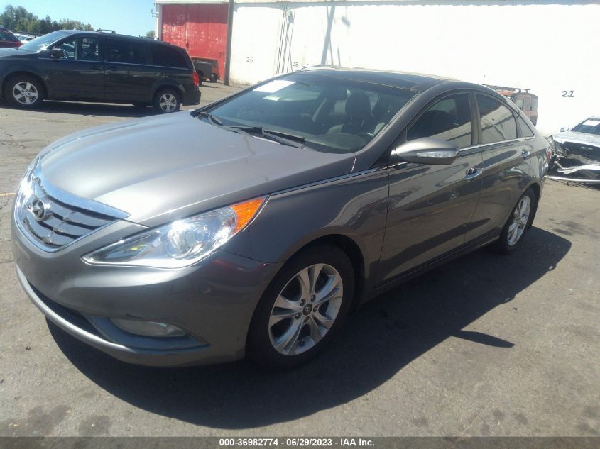 2013 HYUNDAI SONATA LIMITED - 5NPEC4AC1DH567047