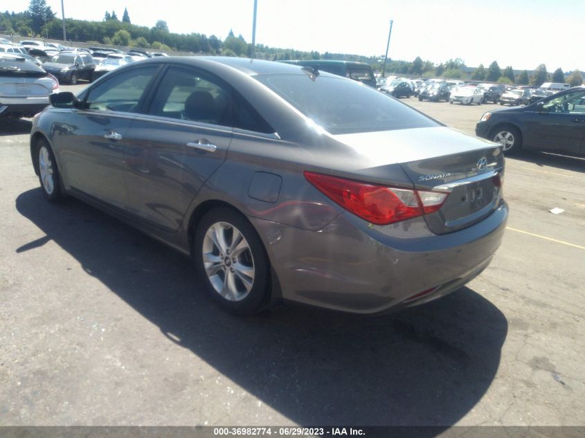 2013 HYUNDAI SONATA LIMITED - 5NPEC4AC1DH567047