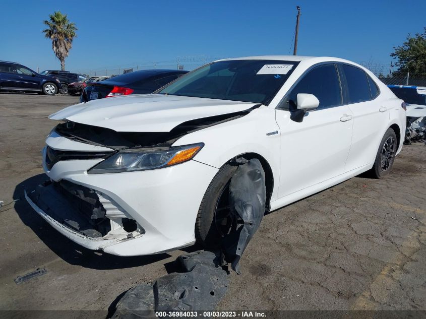 2019 TOYOTA CAMRY HYBRID - 4T1B31HK2KU005087