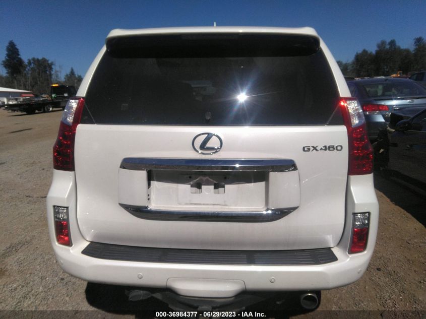 2013 LEXUS GX 460 PREMIUM - JTJJM7FX8D5057574