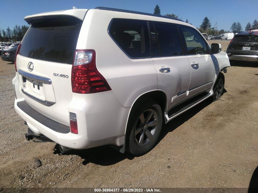 2013 LEXUS GX 460 PREMIUM - JTJJM7FX8D5057574