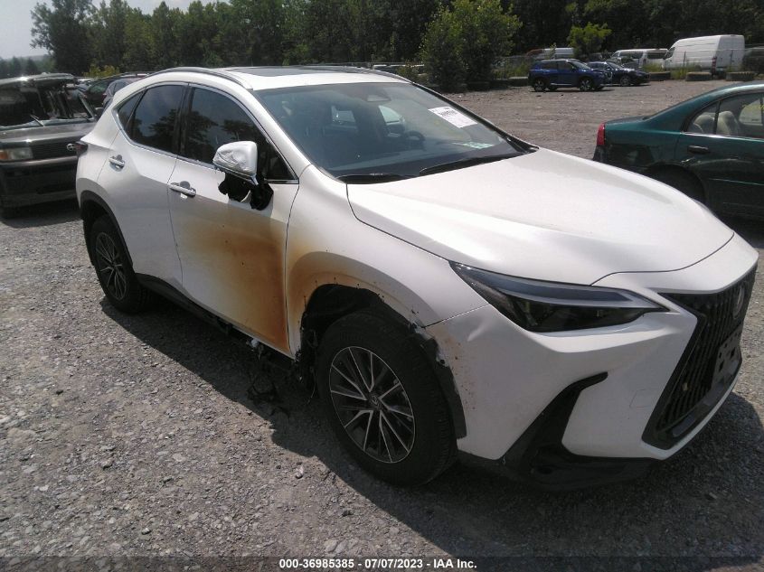 2024 LEXUS NX NX 350 - JTJAGCEZ5R2010935