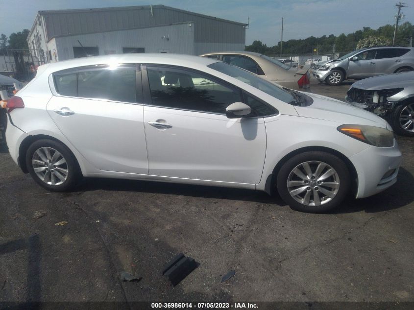 2015 KIA FORTE 5-DOOR EX - KNAFX5A83F5316069