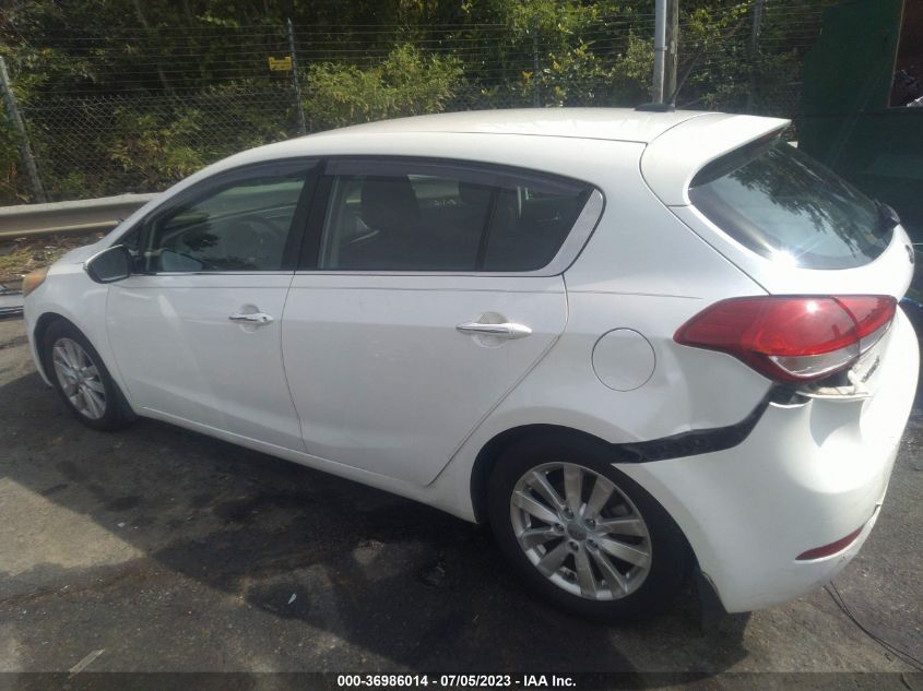 2015 KIA FORTE 5-DOOR EX - KNAFX5A83F5316069