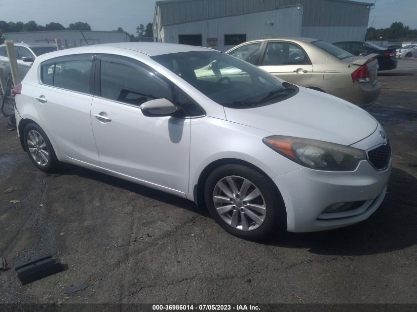 2015 KIA FORTE 5-DOOR EX - KNAFX5A83F5316069