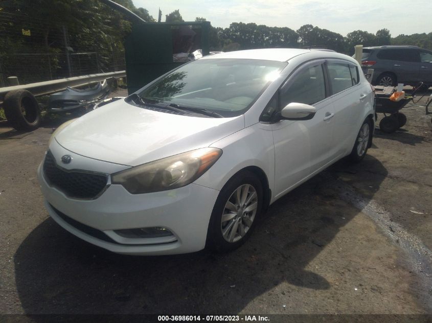2015 KIA FORTE 5-DOOR EX - KNAFX5A83F5316069