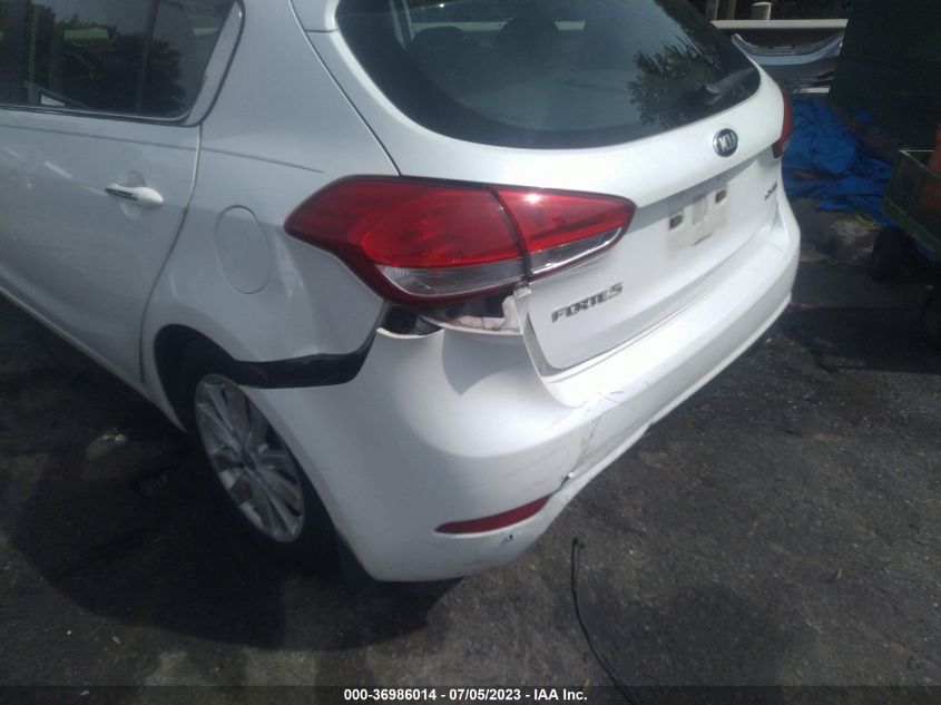 2015 KIA FORTE 5-DOOR EX - KNAFX5A83F5316069