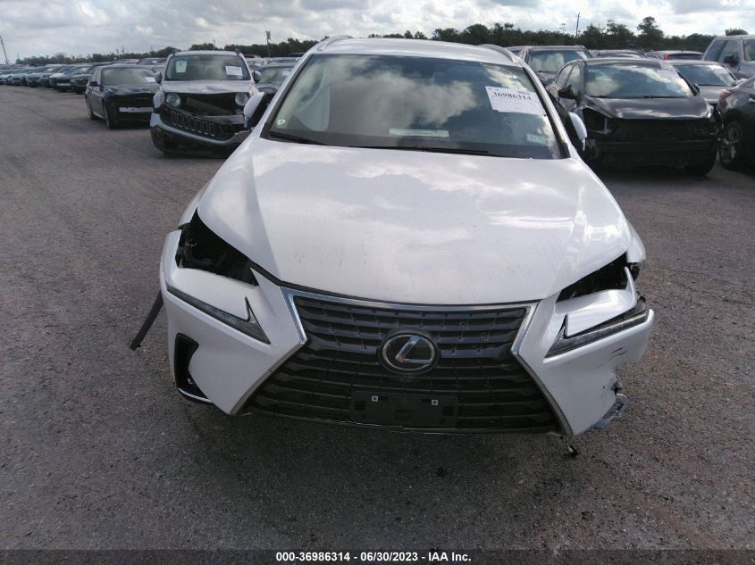 2021 LEXUS NX NX 300 - JTJDARBZ3M5029268
