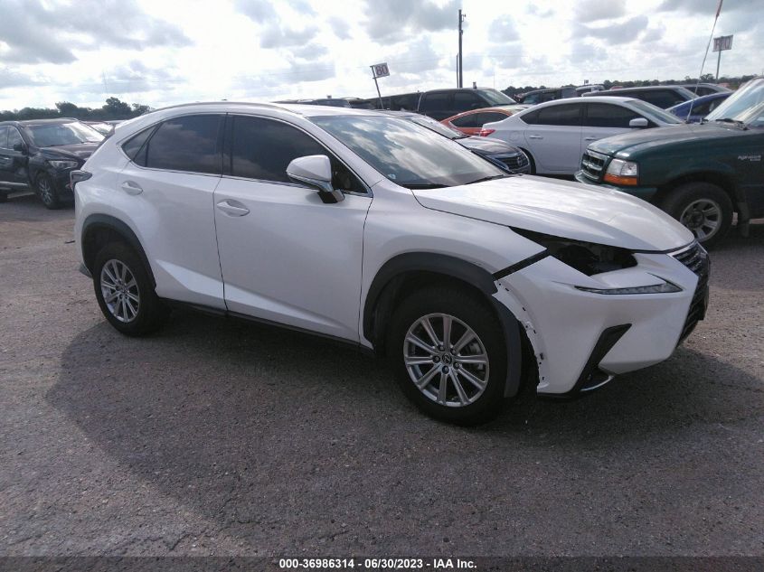 2021 LEXUS NX NX 300 - JTJDARBZ3M5029268