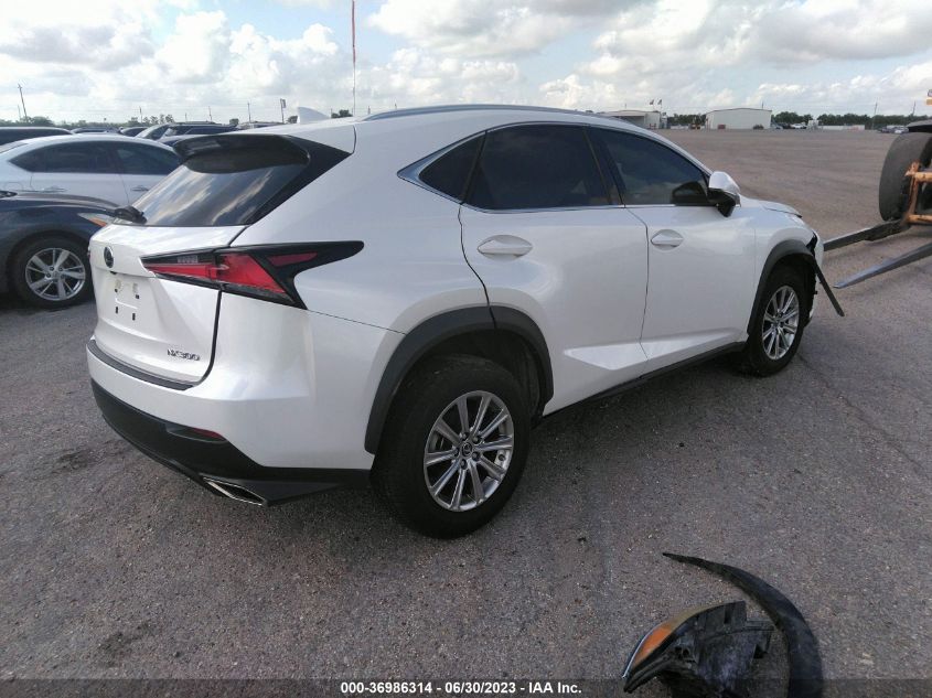 2021 LEXUS NX NX 300 - JTJDARBZ3M5029268